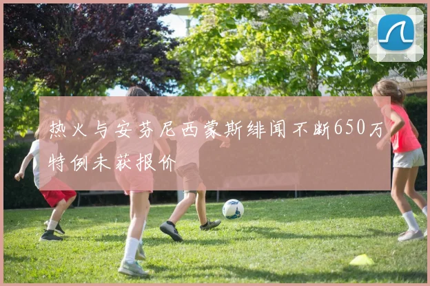 热火与安芬尼西蒙斯绯闻不断650万特例未获报价