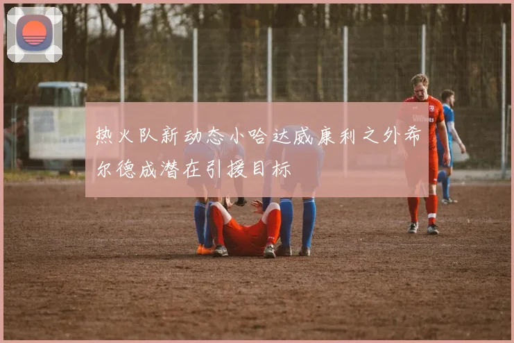 热火队新动态小哈达威康利之外希尔德成潜在引援目标