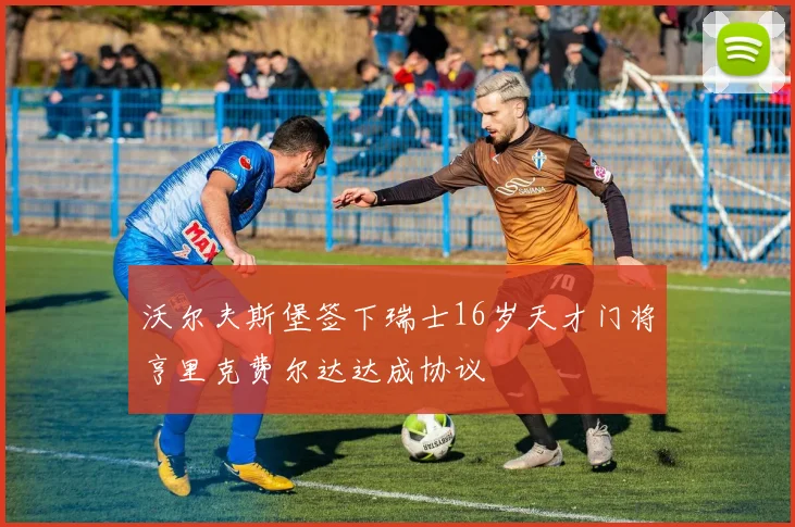 沃尔夫斯堡签下瑞士16岁天才门将亨里克费尔达达成协议