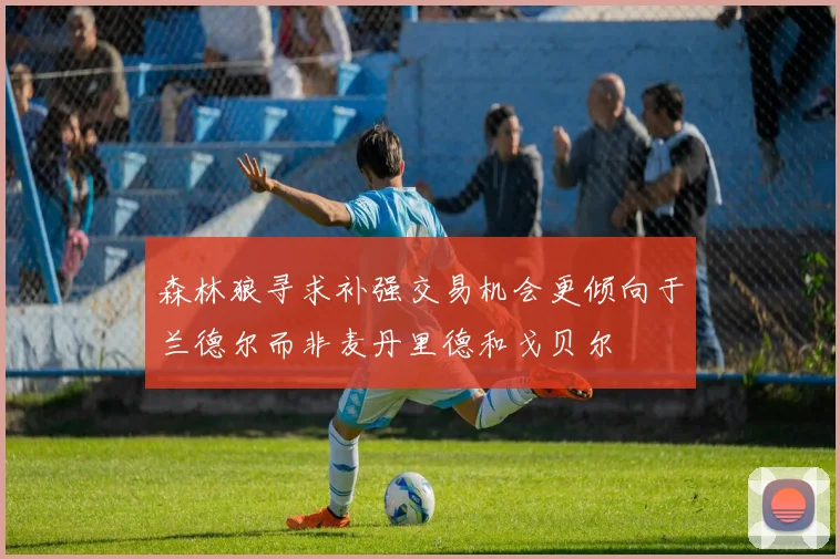 森林狼寻求补强交易机会更倾向于兰德尔而非麦丹里德和戈贝尔
